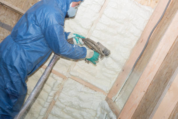 Best Reflective Insulation  in Ripley, MS